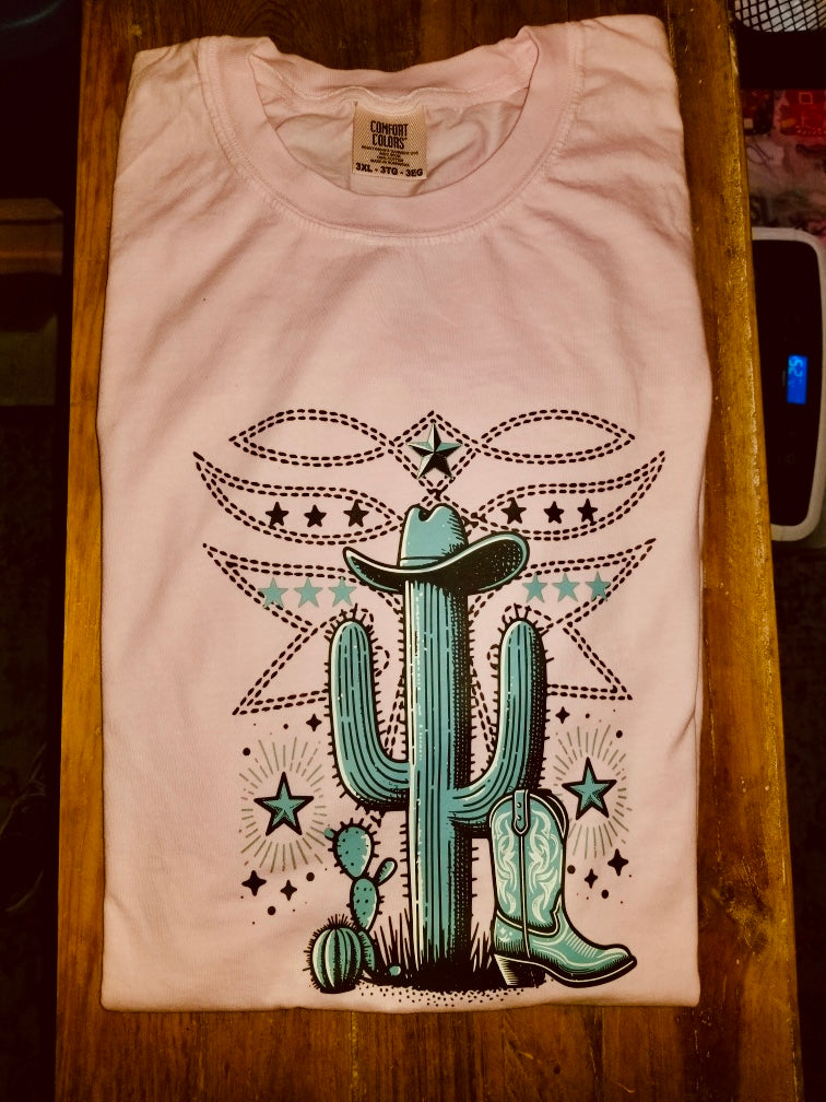COMFORT COLORS!! 2 FOR 25 short sleeve T-shirt mystery PART 3