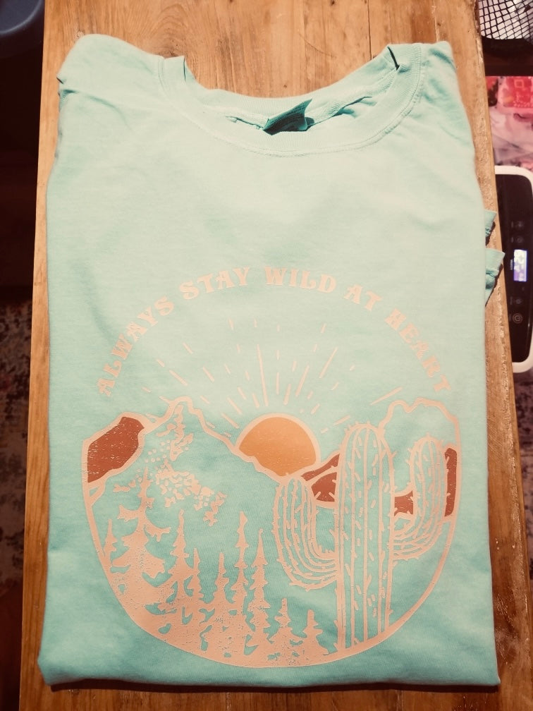 COMFORT COLORS!! 2 FOR 25 short sleeve T-shirt mystery PART 3