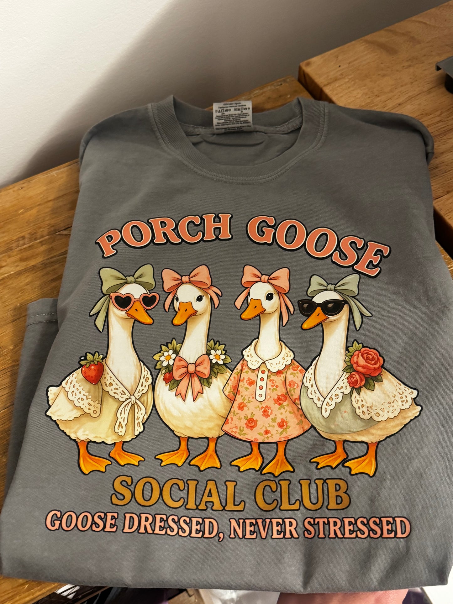 Porch goose 🪿