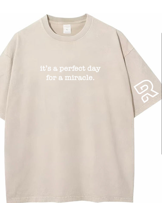 Pre Order it’s a perfect day for a miracle