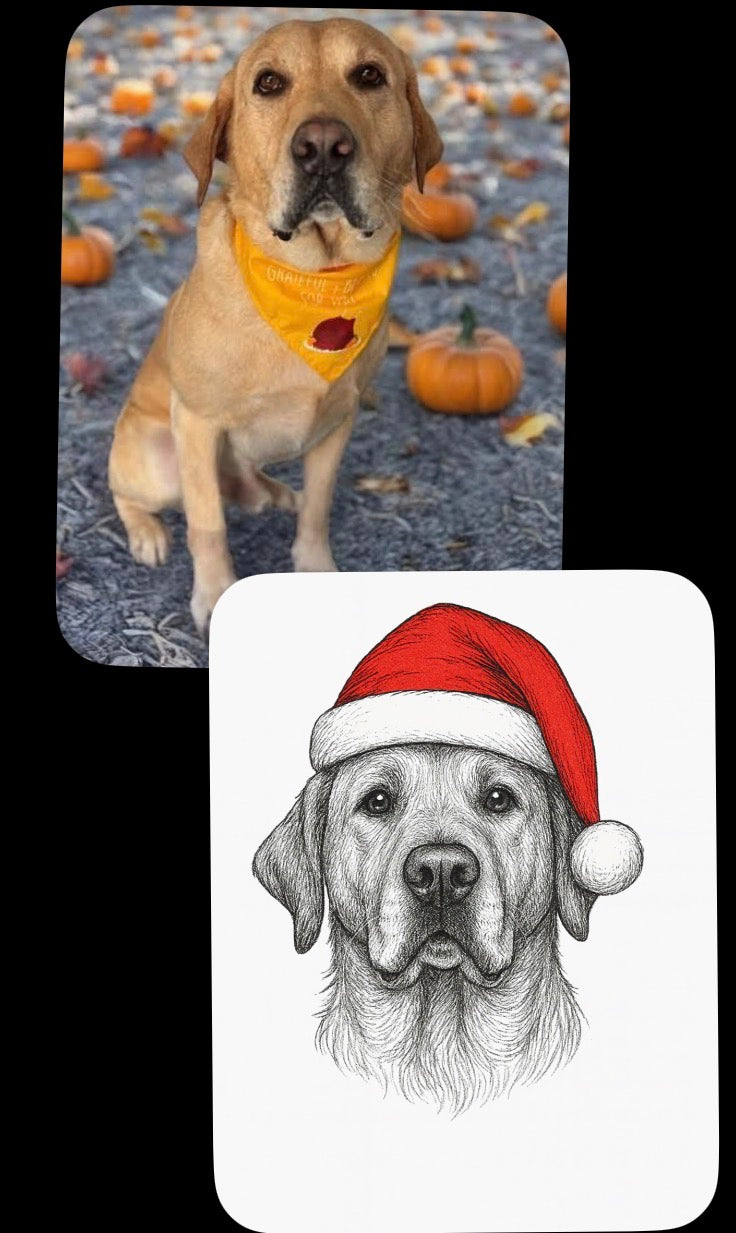 Custom Dog Photo Christmas Sweatshirt or T Shirt  — Personalized Pet Face in Santa Hat