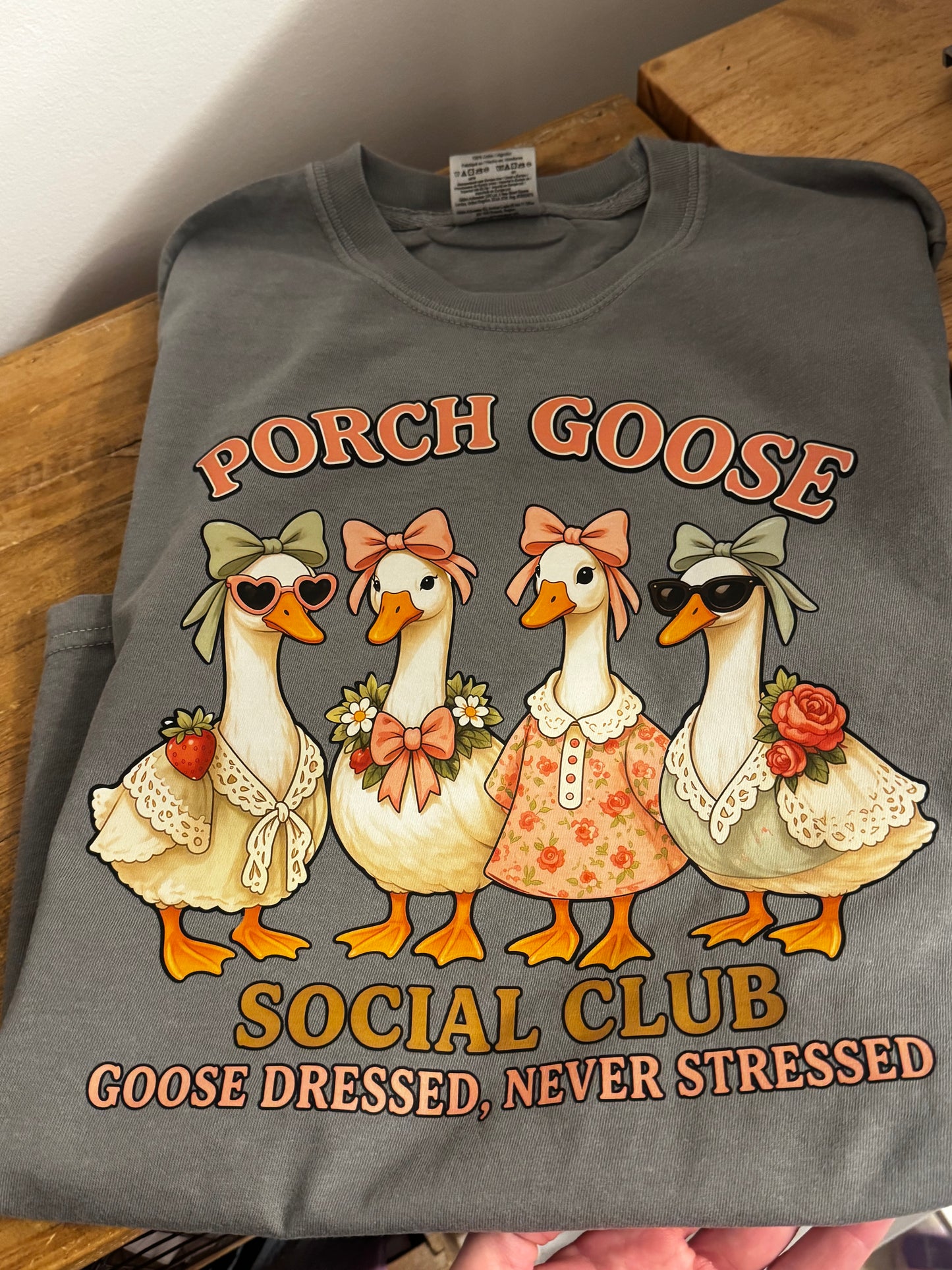 Porch goose 🪿