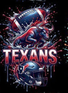Houston Texans Football