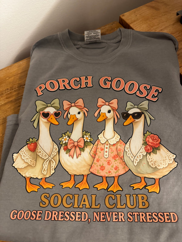 Porch goose 🪿