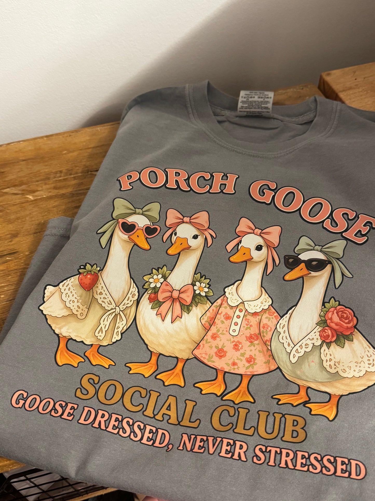 Porch goose 🪿